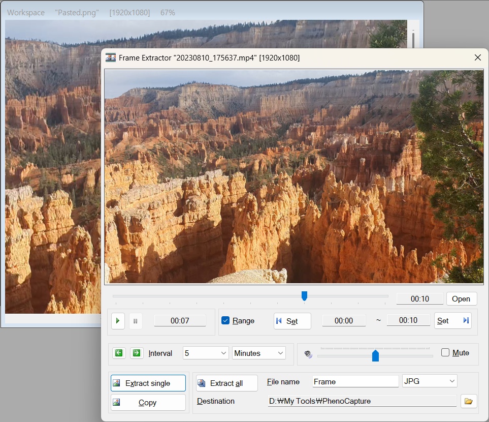 Video Frame Extractor Screenshot